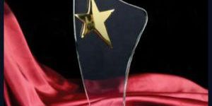 Gold Star Engraved Crystal Trophy