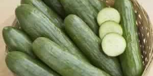 Fresh Cucumber