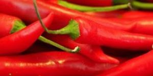 Fresh Red Chilli
