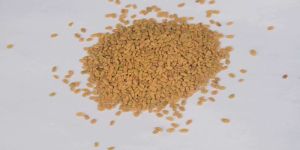 Fenugreek Seeds