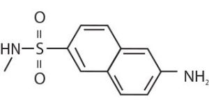 N-Methyl Sulfonamide