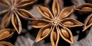 Star Anise