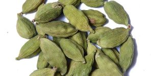 Green Cardamom