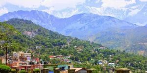 Shimla Dharamshala Cab Tour