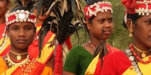Odisha (Orissa) & Chhatisgarh Tribal Tours