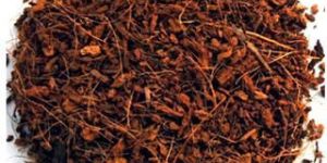Coco Peat