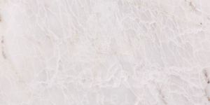 White Venezuela Marble Slab