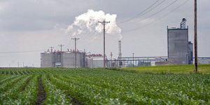 Fuel Ethanol and Bioethanol Plant