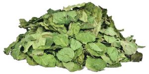 Moringa Dried Leaves