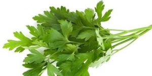Parsley Leaves
