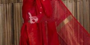 Cotton Silk Jori Tampal Saree