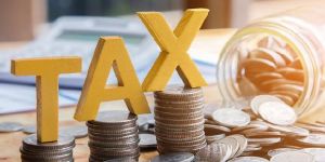 Income Tax Consultant