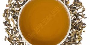 Mint Candy Green Tea