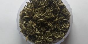 Silver Needle White Tea