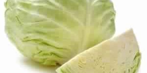 Fresh Green Cabbage