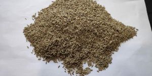 Cumin