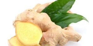 Fresh Ginger