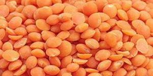 Organic Red Masoor Dal
