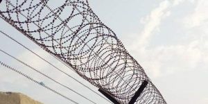 Concertina Coil Fencing