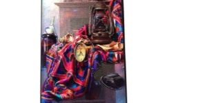 Printed Mobile Back Cover