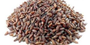 Mappillai Samba Boiled Rice