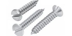 Stainless Steel Slotted Self Tapping Screws