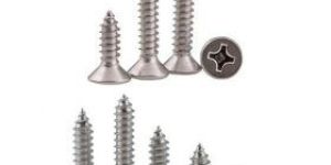 Stainless Steel Tapping Screws