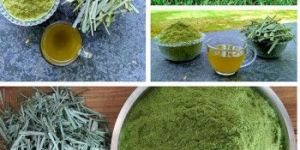Lemongrass Powder