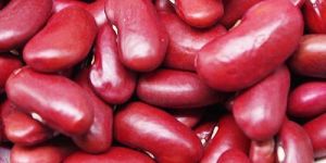 Red Kidney Beans
