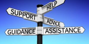 Consultation Services