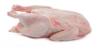 Frozen Chicken Meat