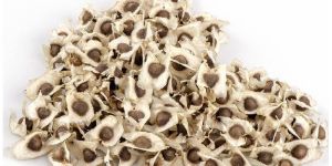 Moringa Seed Odc