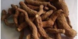 Dried Sarpagandha Roots
