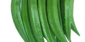 Fresh Organic Lady Finger