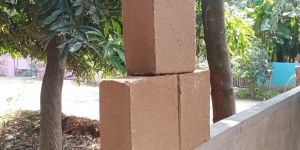 Coco Peat Blocks