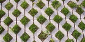 Grass Pavers