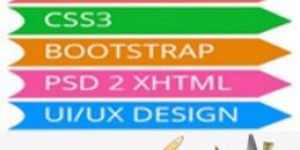 Website Development Services