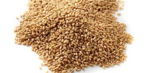 Hulled Wheat Grain