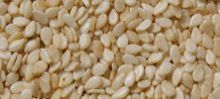 Sesame Seeds