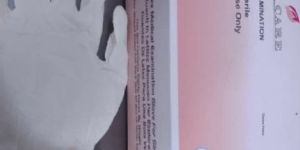 Latex Examination Gloves