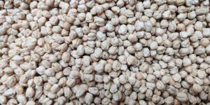 Chickpeas
