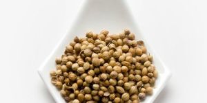 Coriander Seeds