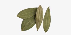 Dried Bay Leaves
