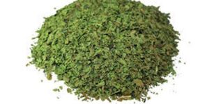 Dried Coriander Leaves