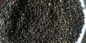 Black Pepper