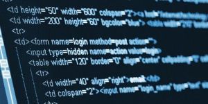 Web Development Services