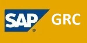 SAP GRC 10 Training Course