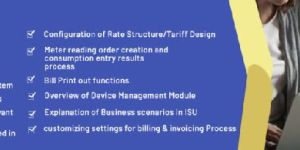 SAP IS-Utilities Training Course