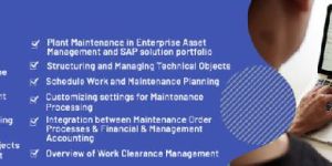 SAP PLM Training Course