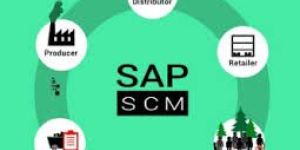 SAP SCM Training Course
